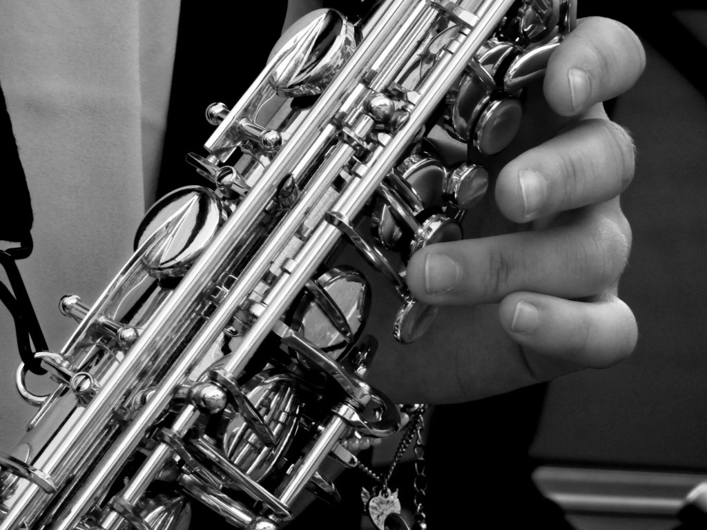 Unlock the soulful melodies of the saxophone with CLM's expert-led saxophone classes! Whether you're a beginner eager to learn or an advanced player looking to refine your skills, our personalized and engaging lessons cater to all levels. At CLM, we combine structured techniques with creative expression, ensuring you master the art of playing while enjoying every step of your musical journey. Join us to discover your unique sound, build confidence, and become part of a vibrant community of music enthusiasts. Let the saxophone become your voice—start your journey with CLM today!